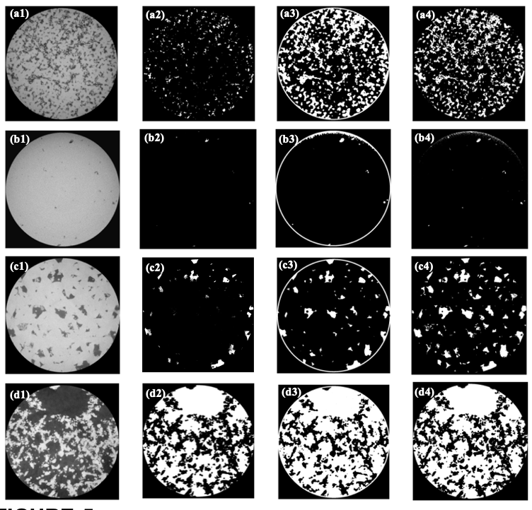 Image segmentation figure